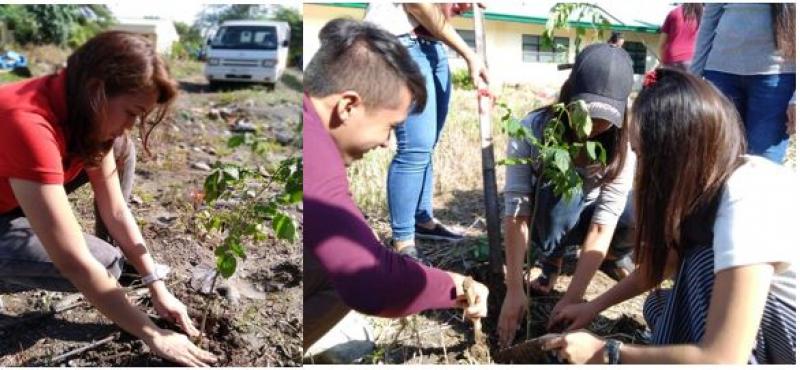 Affordable House and Lot Bria’s Plant a Tree Program participation by adults