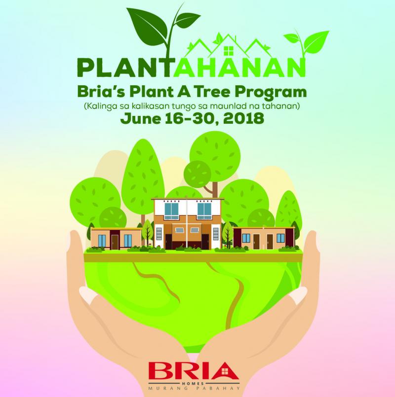 Affordable House and Lot Poster of Bria's Plant a Tree program