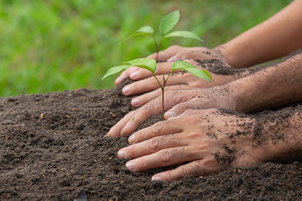 Top 10 Environmental Organizations Can Volunteer For Affordable House and Lot for | Bria