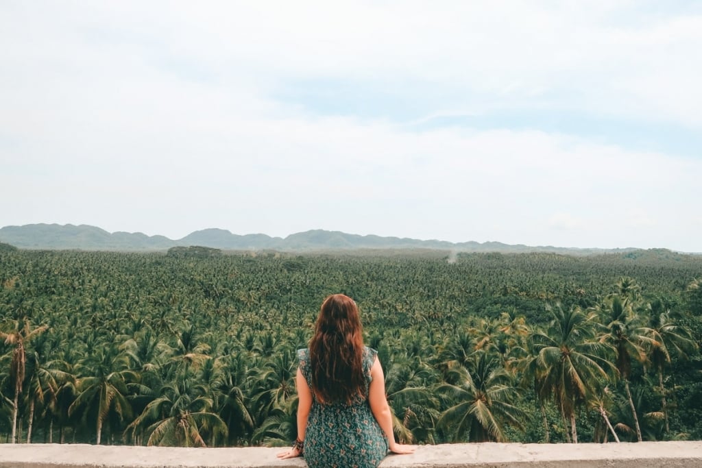 coconut-trees-view-deck-siargao