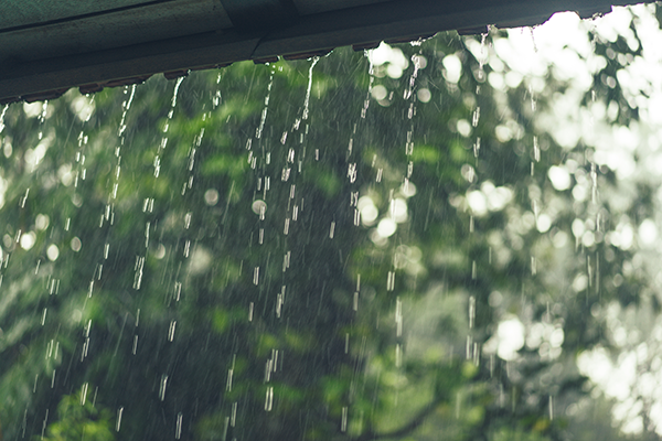 Rain on Roof A dry and Clean Home During Rainy Season