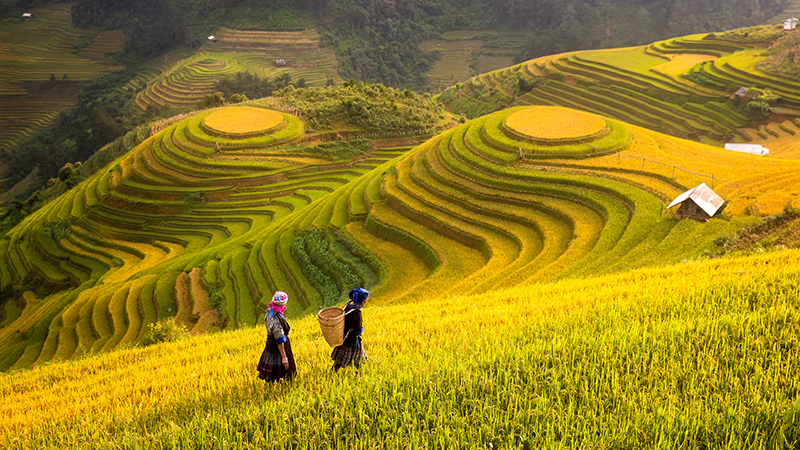 Government Programs that Help Farmers in the Philippines