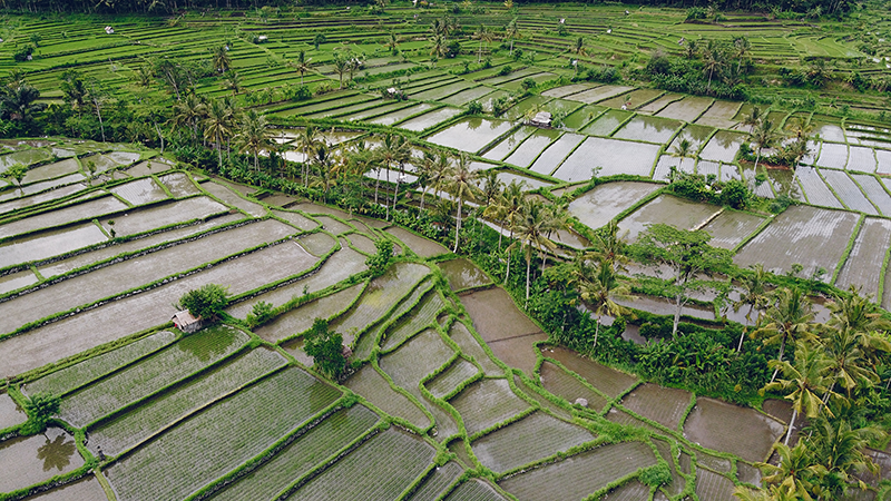 Investments in Agriculture