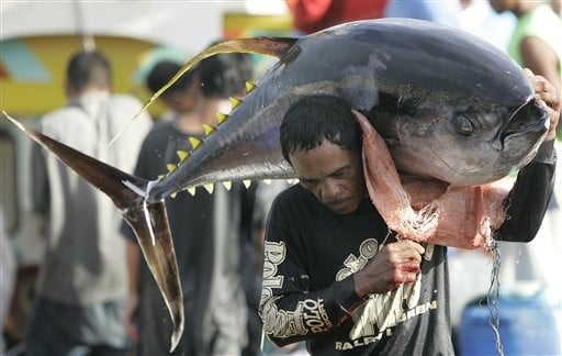 tuna Capital of the Philippines