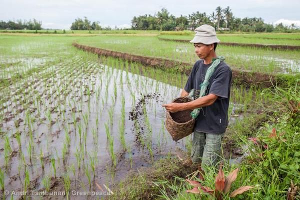 Organic Farming Benefits