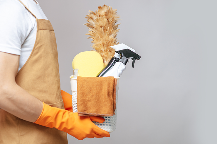 Getting Rid of Common Condo Pests