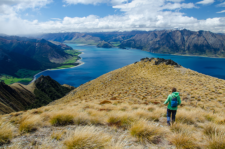 New Zealand Opens its borders