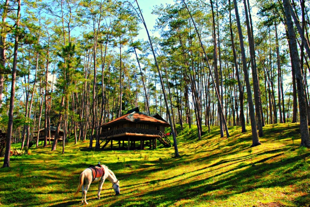 Kaamulan Grounds Bukidnon