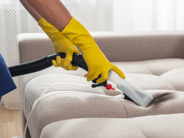 tips to avoid bed bug growth on the couch