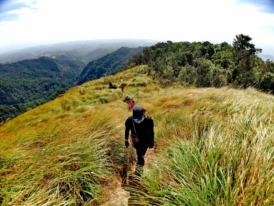 Tarak-Ridge day Hike