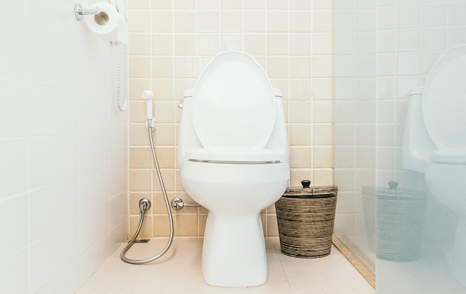 home bathroom with bidet