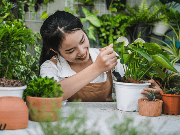 Home Gardening for Beginners