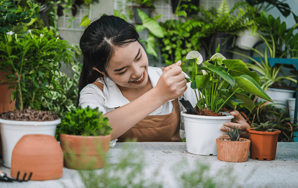 Home Gardening for Beginners