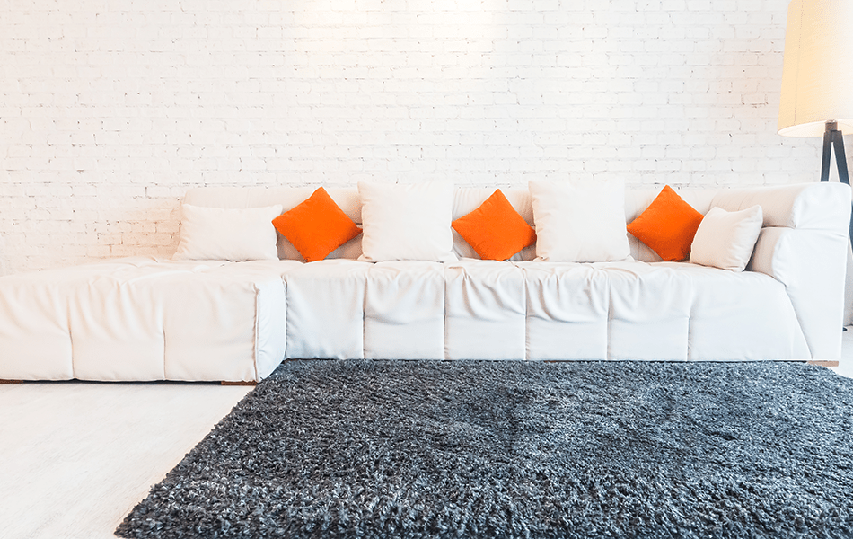 Couch and rug