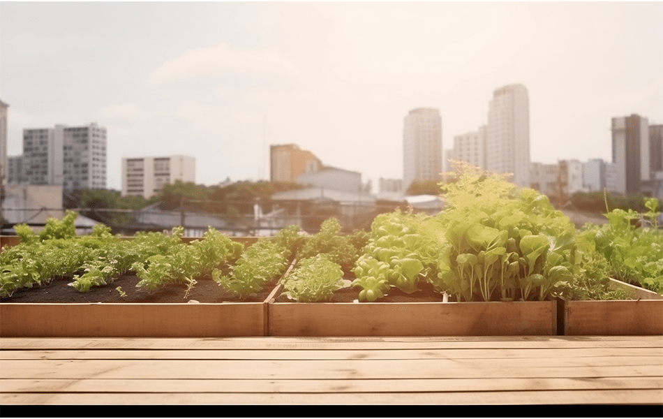 Rooftop garden