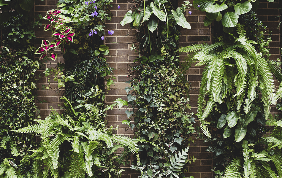 Vertical Garden