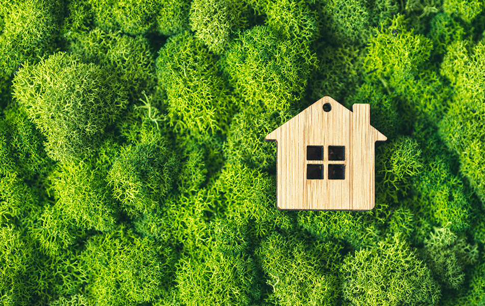 sustainable home materials